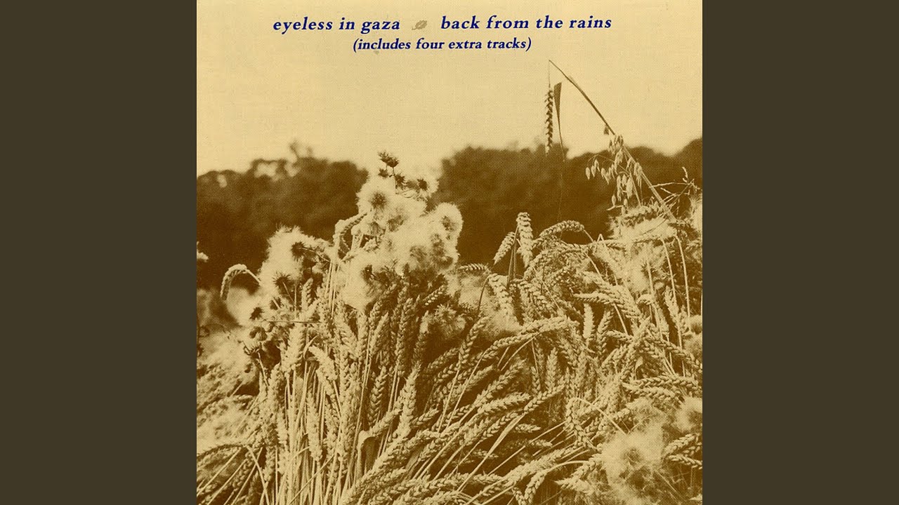 Back from the Rains - YouTube