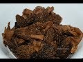 GUCCHI Recipe | MORELS Worlds Most expensive Mushroom | दुनिया के सबसे मेहेंगे मशरुम |