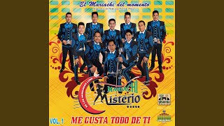 Video thumbnail of "Mariachi Misterio - Tengo Que Olvidarte"
