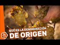 ¿Qué es la denominación de origen?