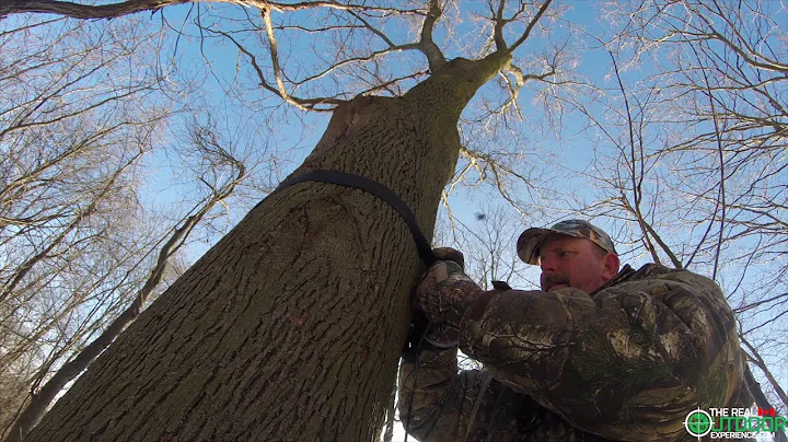 Harness Pro - Full body safety harness