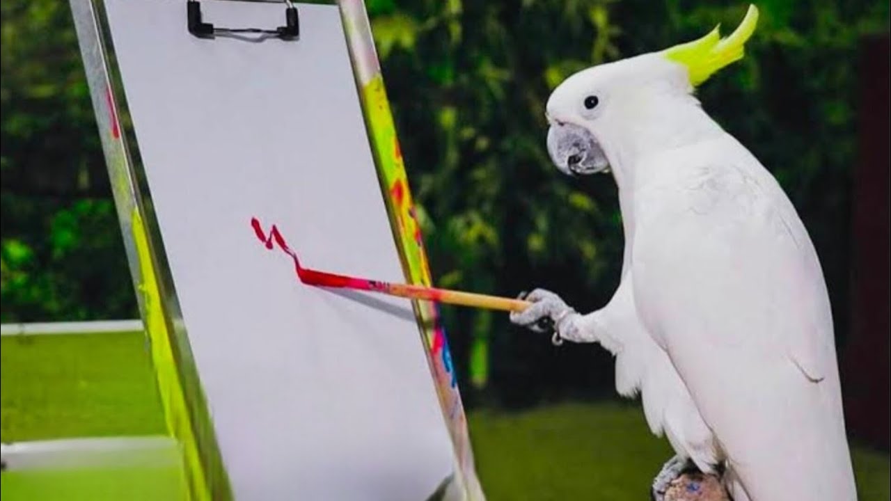 “പക്ഷി ചിത്രം വരക്കുന്നത് കണ്ടിട്ടുണ്ടോ? 😲🐦ഈ കലാപ്രകടനം കണ്ടില്ലെങ്കിൽ മിസ് ആവും 🎨✨”