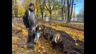 видео: Новые археологические находки в Нарве: на исторических планах города появится еще одна улочка картинка: Новые археологические находки в Нарве: на исторических планах города появится еще одна улочка