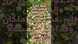 شعر عن الحب/شعر عن قسوة الحياة