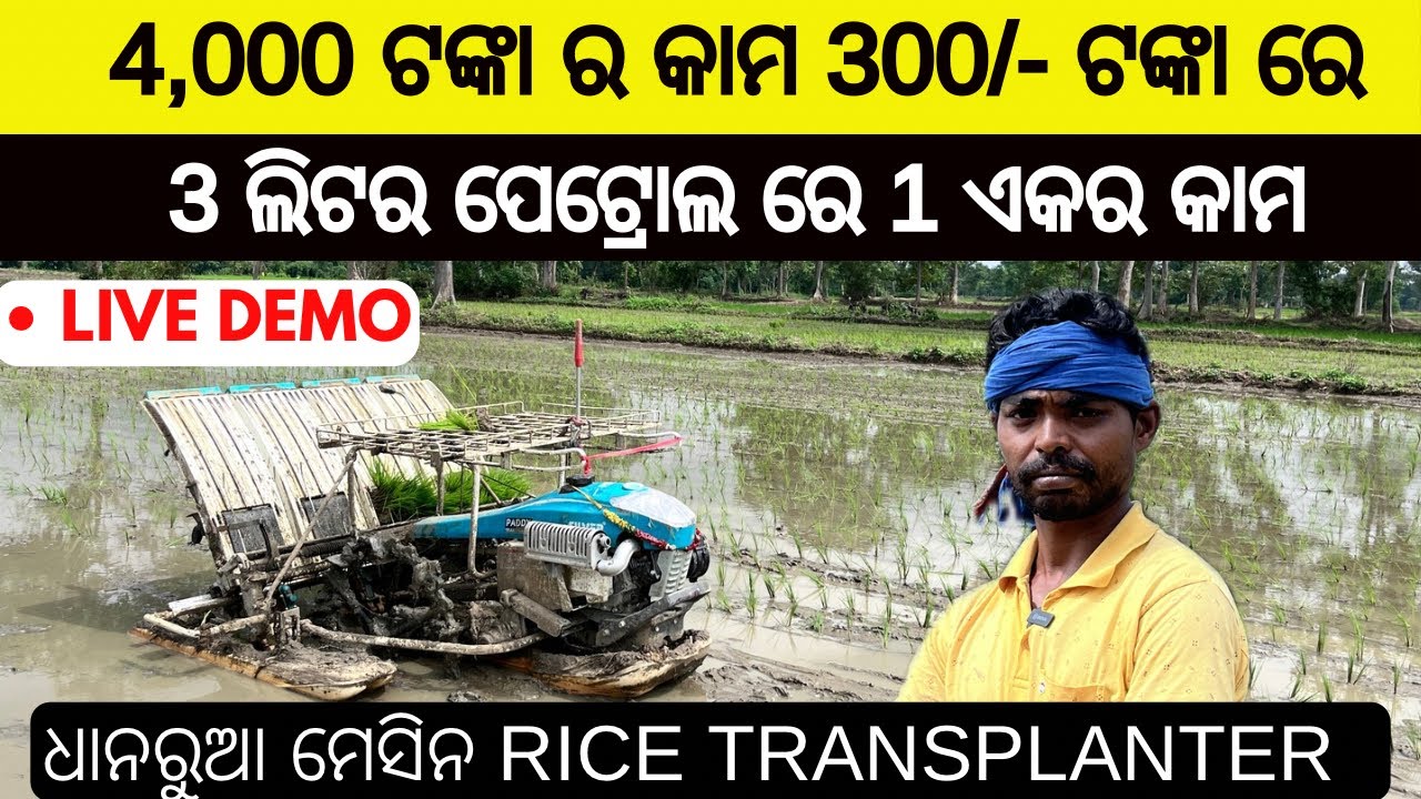 4000 ଟଙ୍କାର କାମ 300/- ଟଙ୍କା ରେ ହେଉଛେ ଇ ପଲ୍ହାରୁଆ ମେସିନ ରେ / Rice transplanter in Odisha Subsidy Price