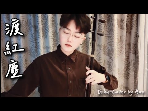 張碧晨《渡紅塵》二胡｜Erhu【Cover by 螞蟻 Ant H.】