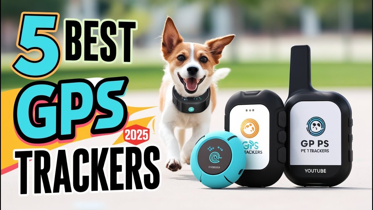 Top 5 GPS Pet Trackers of 2025 Reviewed | Review Realm - YouTube