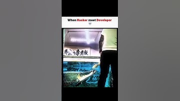When a Hacker Meets a Developer: Outsmarting, Not Stealing 💻🔥 #motivational #fyp