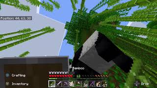 Suicidal panda :(