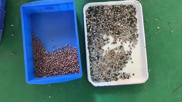 copper optical sorting machine,first sorting