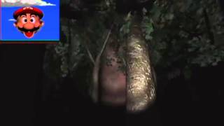 Mario Head Becomes Pewdiepie