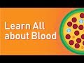 Blood Basics: Functions, Disorders, and Donation Insights
