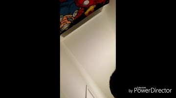 Pokemon sun and moon hack