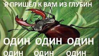 Земля и Трава (полная чарующая песня с оркестром)