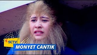 Highlight Monyet Cantik 2 - Episode 2
