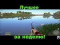 Русская Рыбалка 4 Лучшее за неделю!!!