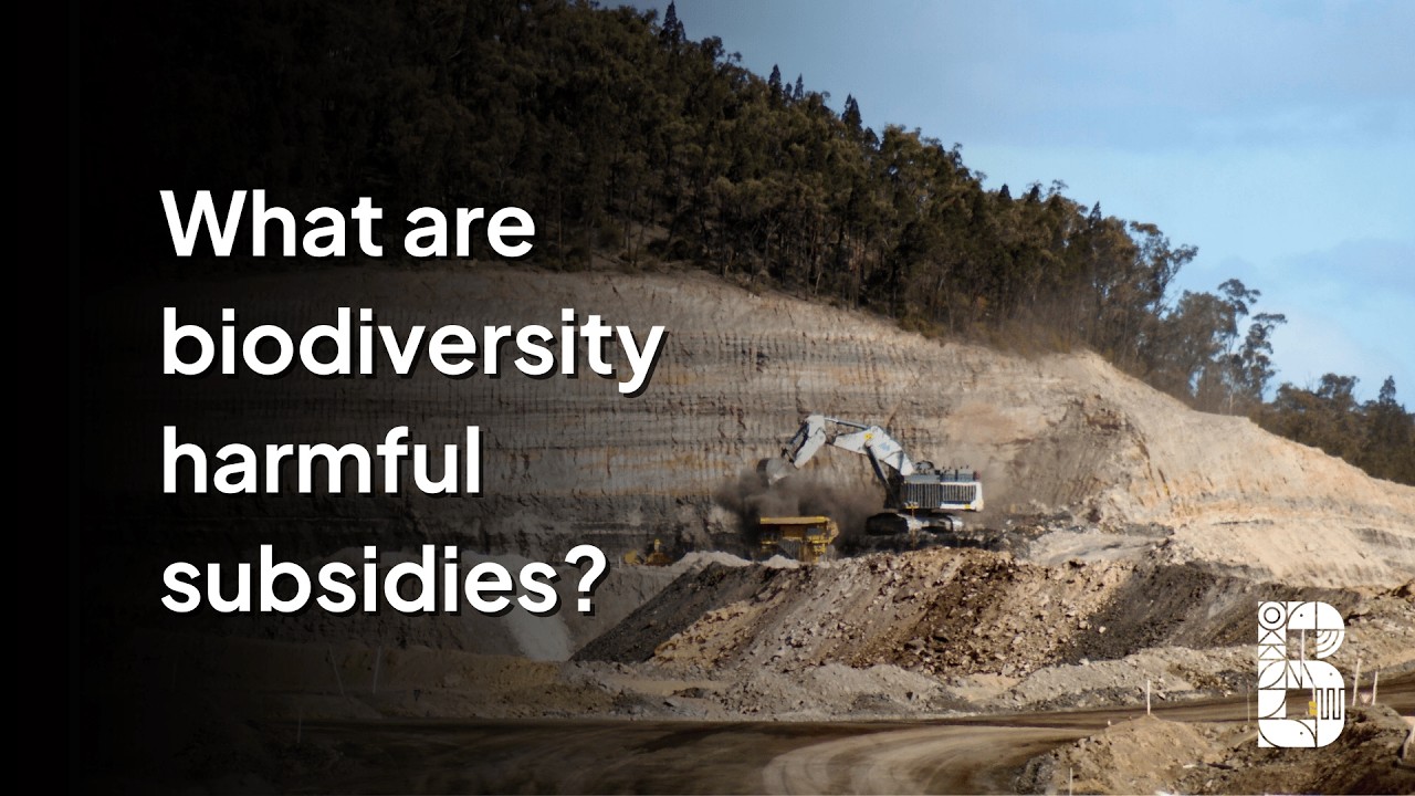 New study reveals the Australian Government’s $26 billion per year nature-harming problem