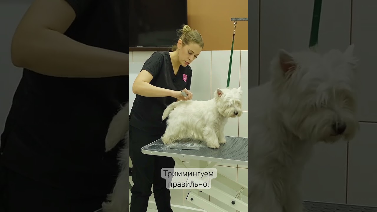 #тримминг
