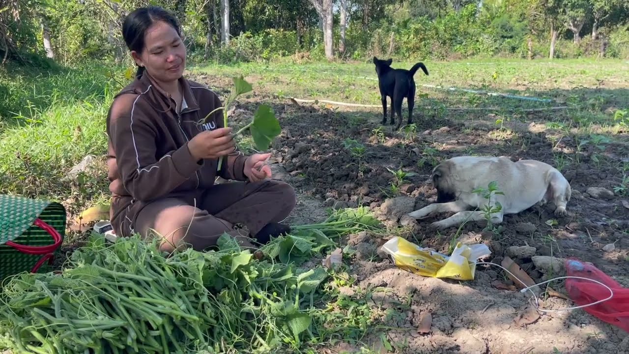 We are at my mother's house today, cooking a delicious duck cha kroeung