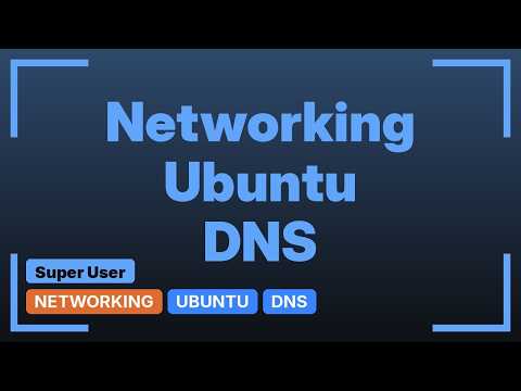 dnsmasq not working to point .local addresses to 127.0.0.1 (4 Solutions!!)