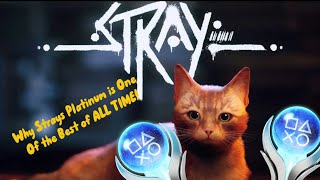 Why Strays Platinum is One of the Best Platinums of ALL TIME!