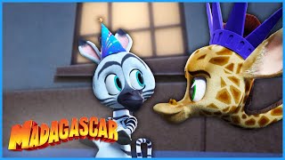 The Big Party 🎉 | DreamWorks Madagascar