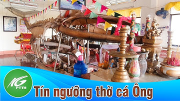 Tín ngưỡng thờ cá ông ở vùng biển Kiên Giang | THKG