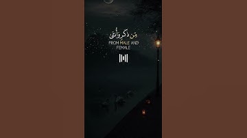 سورة الحجرات عبد الباسط عبد الصمد #القرآن_الكريم #قرآن