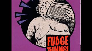 Fudge Tunnel - Fudgecake (Full Album) HQ