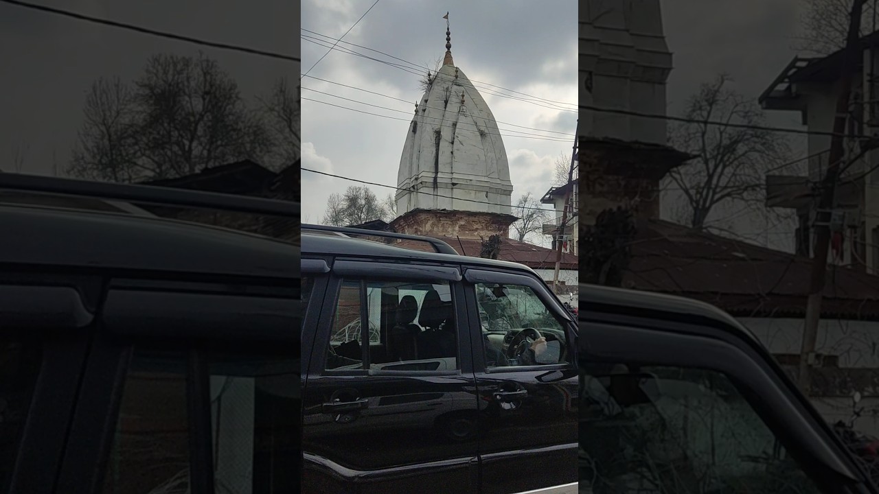 Парк в Шринагаре, древние чинары