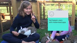 Application Modernization and Rabbits