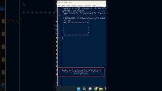 Famous 1/25 Pattern In Python ( Hollow square star pattern ) #codebuddy #python #pattern #friends Net Worth