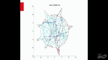 Mathematical Methods and Modeling of Biophysical Phenomena - Dietmar Oelz