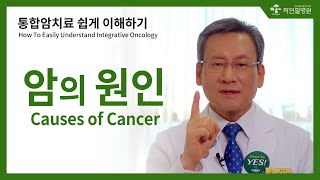 [ENG SUB] 통합암치료 쉽게 이해하기, 암의 원인