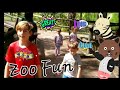 Kids zoo