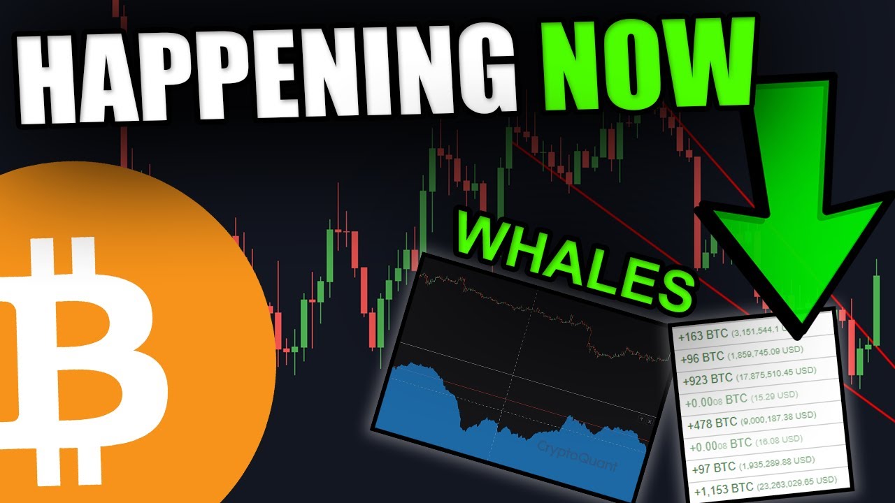 0.0008 Btc In Usd
