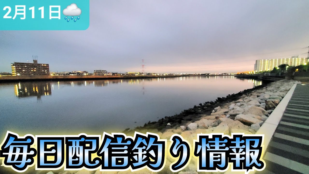 【毎日配信】旧江戸川シーバス&チニング情報