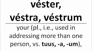 Wheelock's Latin - Chapter 06 vocabulary
