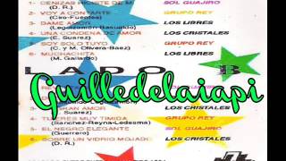 Video thumbnail of "Los Cristales - Un gran amor"