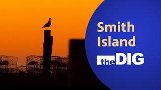 Smith Island | The Dig screenshot 3