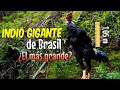 Indio gigante de Brasil 🐓 ¿la raza de gallina más grande del mundo?