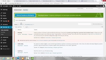 Wordpress akismet api key