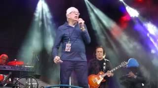 Video-Miniaturansicht von „John Mayall - The Raining Blues - 5/21/16 Chesapeake Bay Blues Festival“