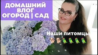 Италия | Домашний влог | обзор сада, огорода, домашние питомцы