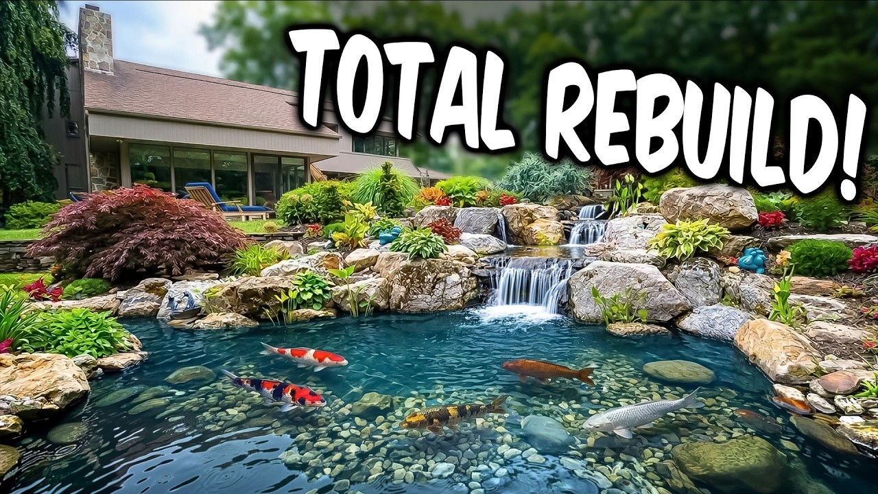 Rebuilding A Broken Legacy Pond Into A $65,000 Masterpiece!Nightmare Pond Gets $65,000 Glow up