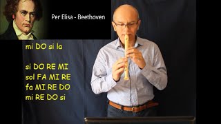 Per Elisa di Beethoven (il brano più romantico, suonalo con me!!) chords