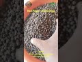 Our premium Black Pepper – bold flavor, export quality, and hygienically packed!