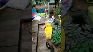 Jumping Up And Down In My Underwear