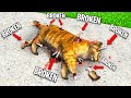 Breaking EVERY BONE As a CAT In GTA 5!