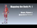 Mapping the body part 1